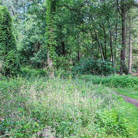Huiske Oan T Bos Lage Mierde Exterior foto